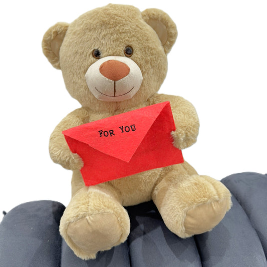Kuschelteddy mit Liebesbrief – süßer Plüschbär zum Verschenken 💌🐻
